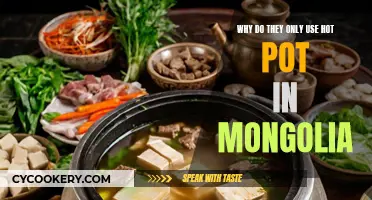 Mongolian Fire: Unraveling the Mystery Behind Mongolia's Exclusive Hot Pot Culture