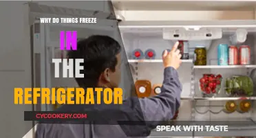 Why Do Things Freeze in the Refrigerator? Understanding Cold Storage