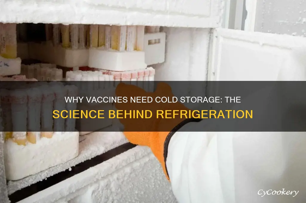 why do vaccines have to be refrigerated