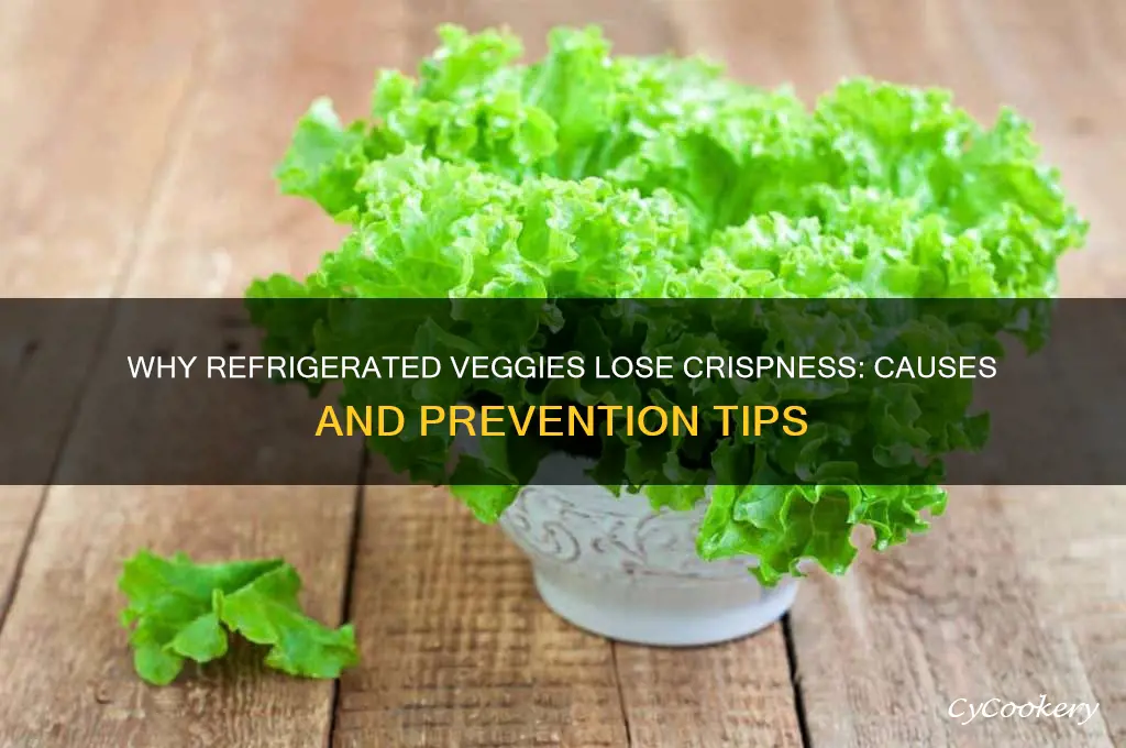 why do vegetables lose crisp in refrigerator