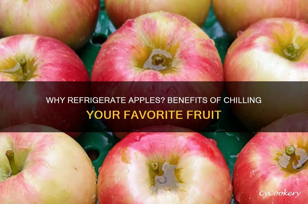 why do we put apples in refrigerator