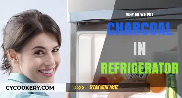 Why Charcoal in Your Fridge Keeps Odors at Bay