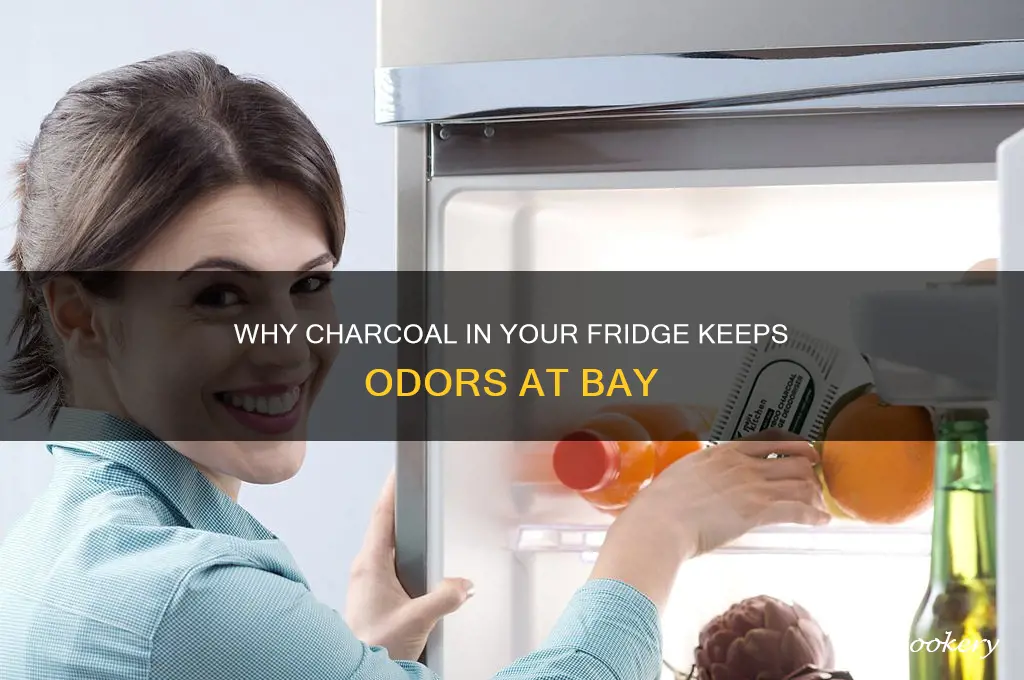 why do we put charcoal in refrigerator