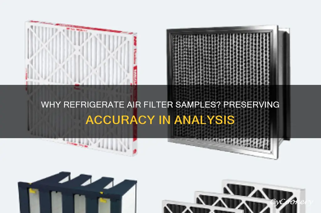 why do we refrigerate air filter samples