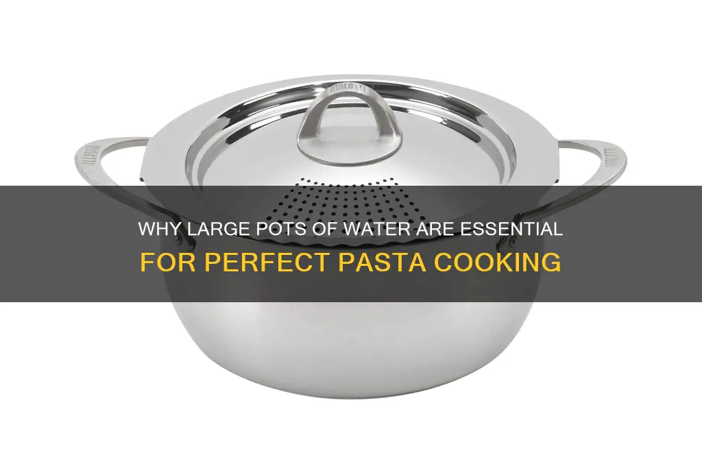 why do you cook pasta in large pots of water