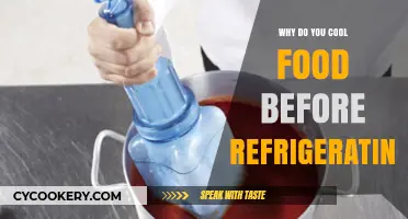 Cooling Food Before Refrigerating: Essential Tips to Preserve Freshness and Safety