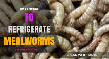 Refrigerating Mealworms: Essential Tips for Freshness and Longevity