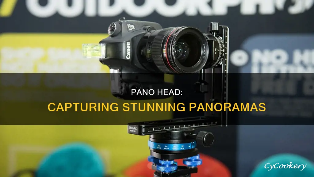 why do you need pano head