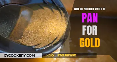 Gold Panning: Water's Role