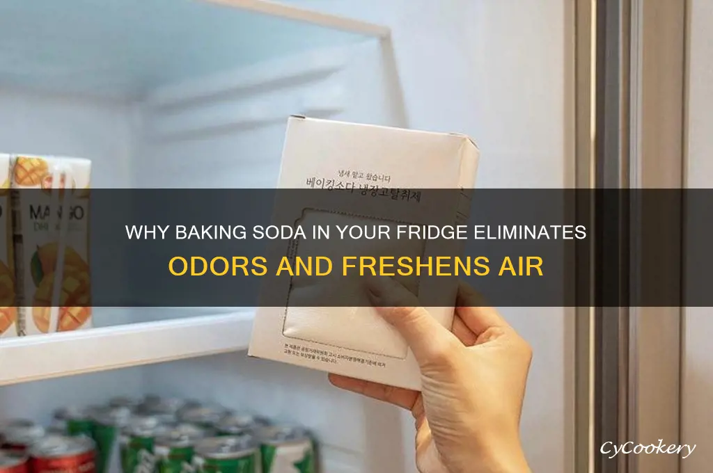 why do you put baking soda in the refrigerator