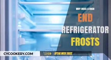 Why High-End Refrigerators Frost: Causes and Solutions Explained