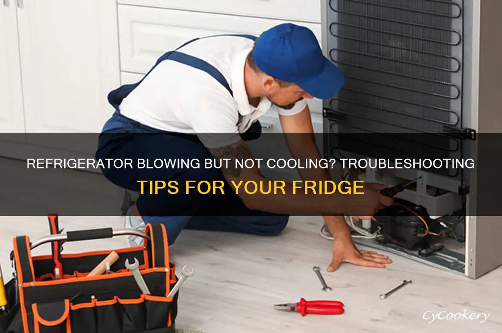 why does a refrigerator blow not cooling