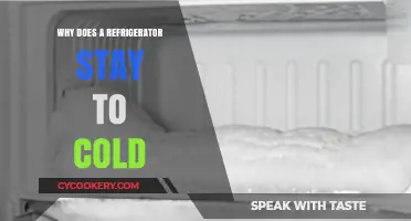 Why Your Refrigerator Stays Too Cold: Causes and Solutions