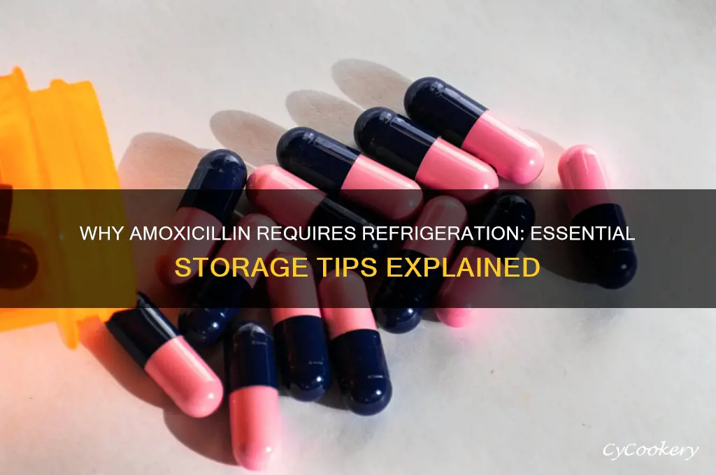 why does amoxicillin have to be refrigerated