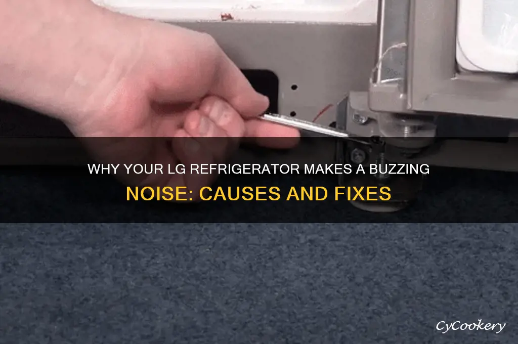 why does an lg refrigerator buzzing noise