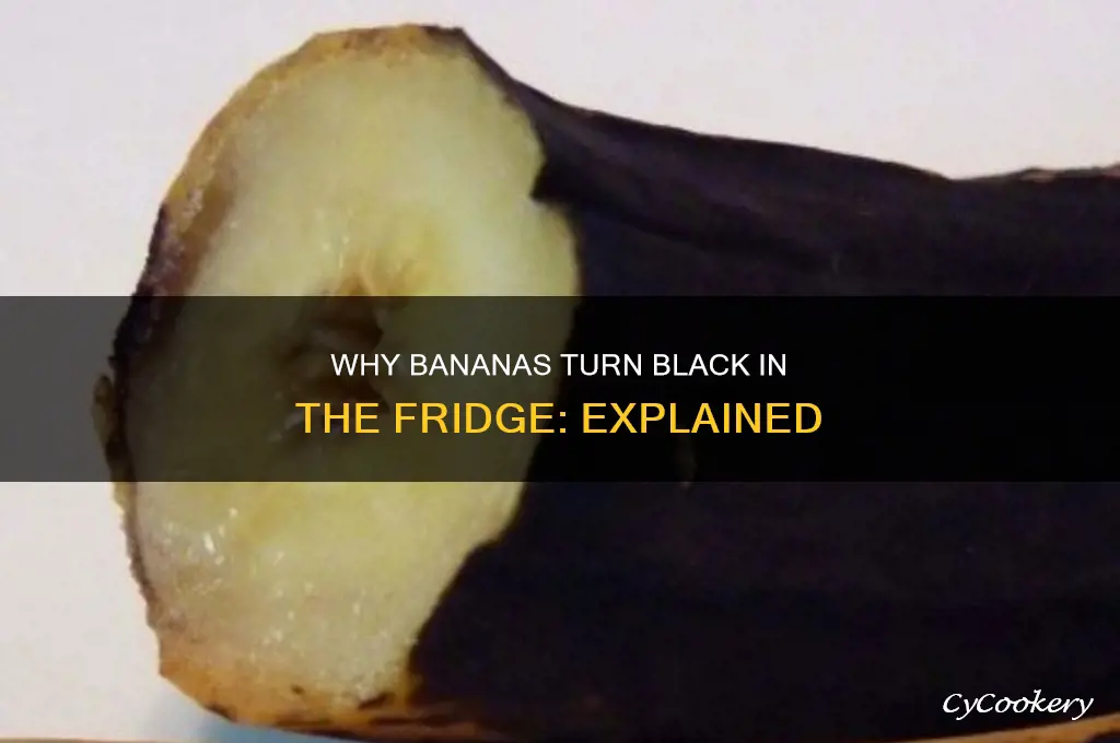 why does banana turn black in refrigerator