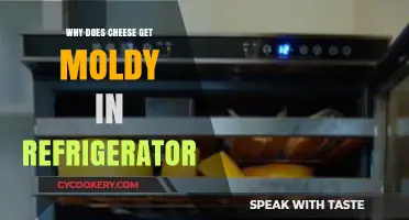 Why Cheese Molds in the Fridge: Causes and Prevention Tips
