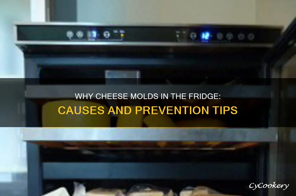 why does cheese get moldy in refrigerator