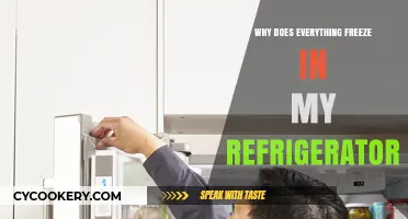 Why Your Fridge Freezes Everything: Causes and Quick Fixes