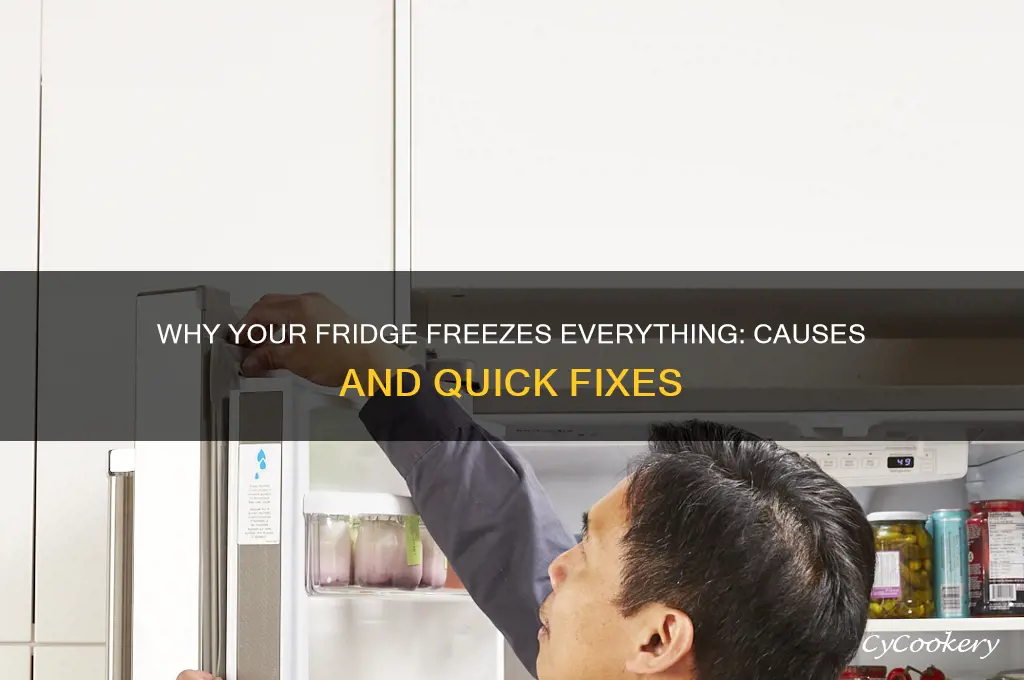 why does everything freeze in my refrigerator
