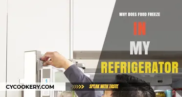 Why Does Food Freeze in My Refrigerator? Common Causes Explained