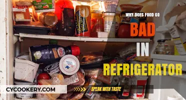 Why Does Food Spoil in the Fridge? Understanding Refrigerator Food Decay