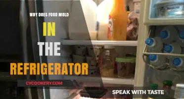Why Does Food Mold in the Fridge? Causes and Prevention Tips