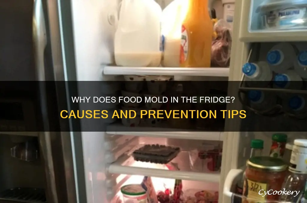 why does food mold in the refrigerator