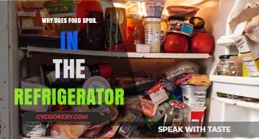 Why Does Food Spoil in the Fridge? Understanding Refrigeration Limits