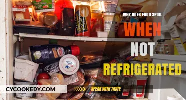 Understanding Food Spoilage: Why Refrigeration is Essential for Freshness