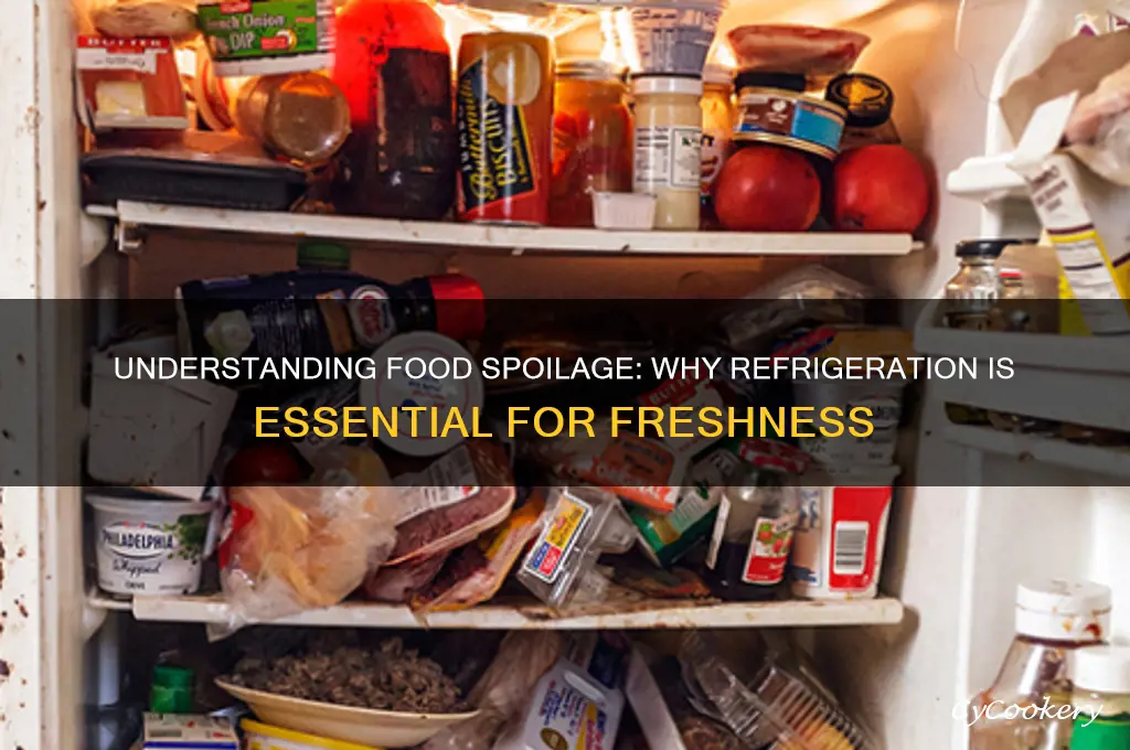 why does food spoil when not refrigerated