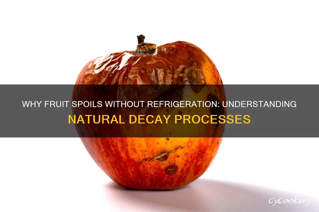why does fruit go bad not refrigerated