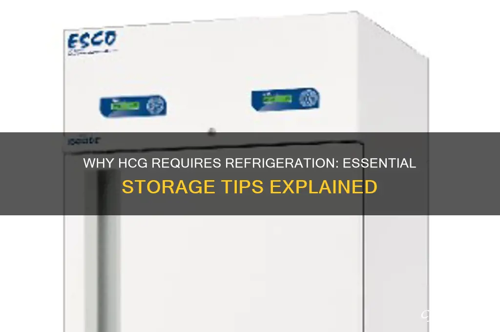 why does hcg have to be refrigerated