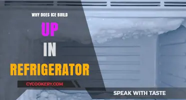 Why Ice Accumulates in Your Fridge: Causes and Solutions Explained