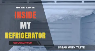 Why Ice Builds Up Inside Your Refrigerator: Causes and Solutions