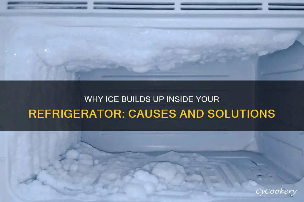 why does ice form inside my refrigerator