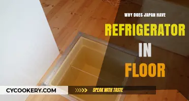 Why Japan's Floor Refrigerators Are a Cultural Innovation