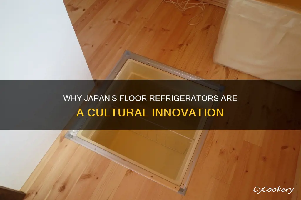why does japan have refrigerator in floor