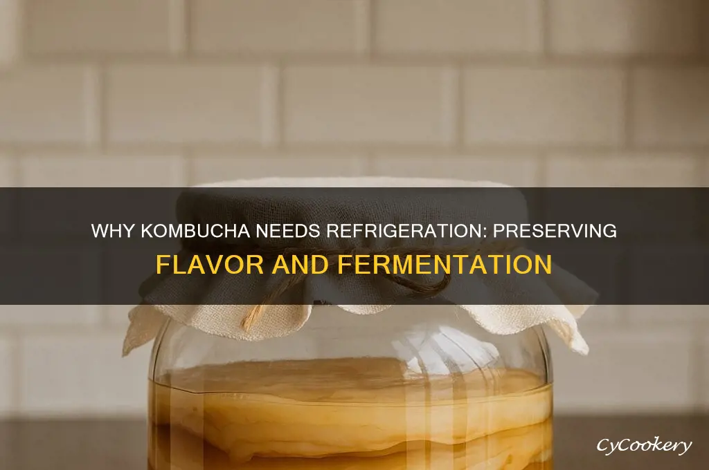 why does kombucha have to be refrigerated