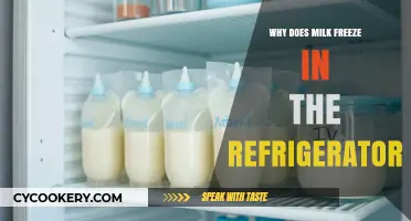 Why Milk Freezes in Your Fridge: Causes and Solutions Explained