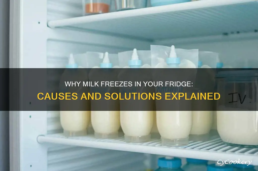 why does milk freeze in the refrigerator