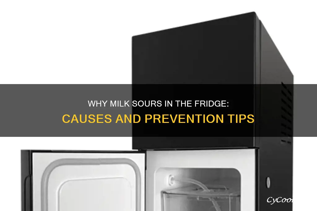 why does milk sour even when refrigerated