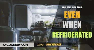 Why Milk Spoils in the Fridge: Causes and Prevention Tips