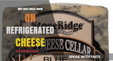 Why Mold Grows on Refrigerated Cheese: Causes and Prevention Tips