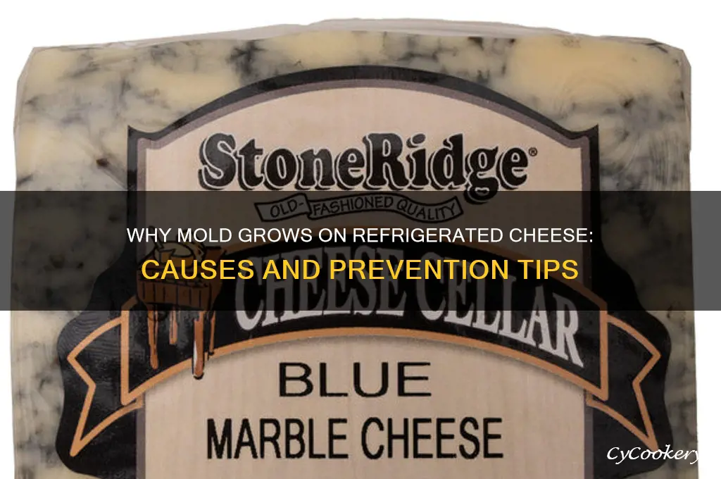 why does mold grow on refrigerated cheese