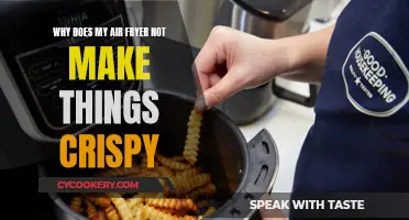 Air Fryer Not Crisping: What's the Deal?