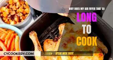 Air Fryer Cooking Times: Why the Long Wait?