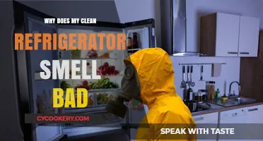 Why Your Clean Fridge Smells Bad: Causes and Quick Fixes