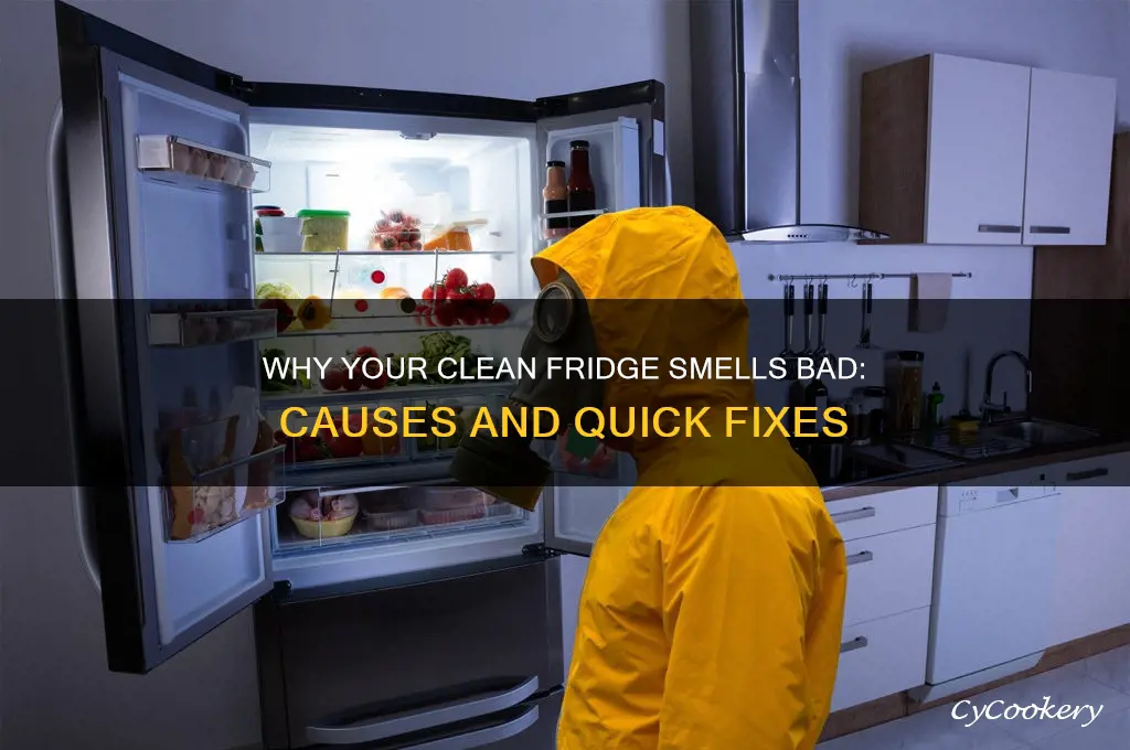 why does my clean refrigerator smell bad