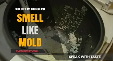 Why Your Cooking Pot Smells Like Mold: Causes and Solutions